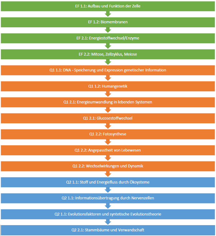 Übersicht Themen Oberstufe Biologie MNGE